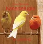Kanariefugle