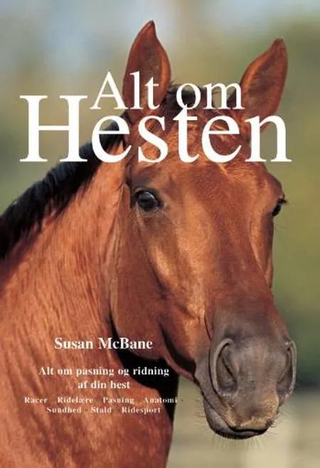 Alt om hesten af Susan McBane