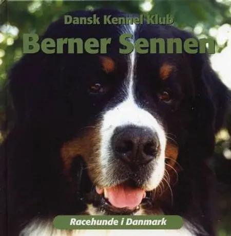 Berner Sennen af Dansk Kennel Klub