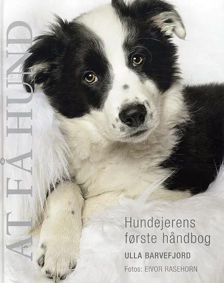 At få hund af Ulla Barvefjord