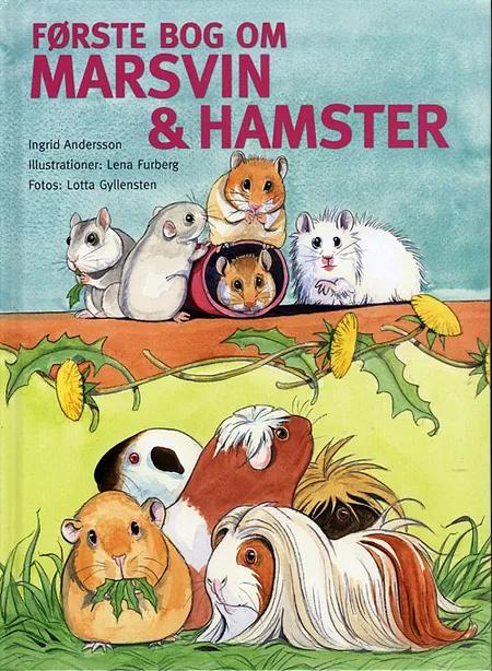 Første bog om marsvin & hamster af Ingrid Andersson