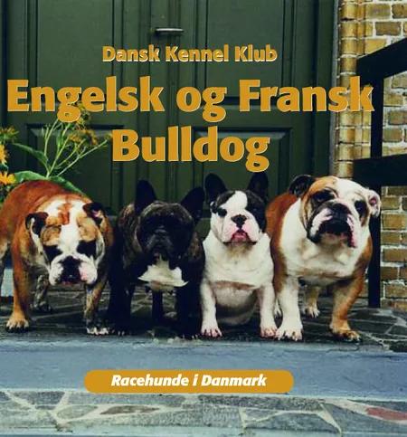 Engelsk og fransk bulldog af Dansk Kennelklub