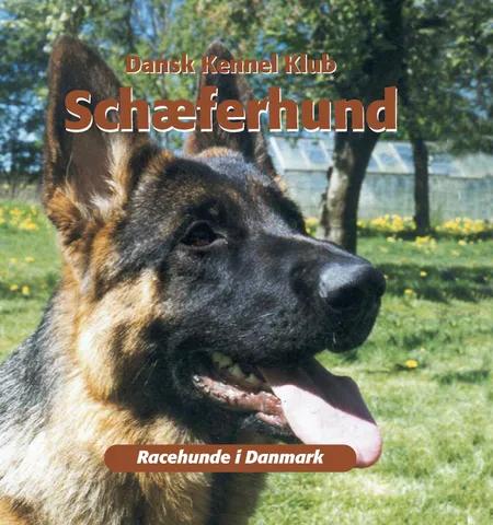 Schæferhund af Dansk Kennelklub