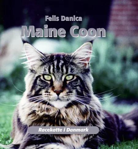 Maine Coon af Felis Danica