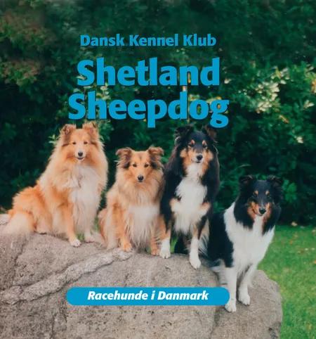 Shetland sheepdog af Dansk Kennelklub