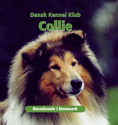 Collie af Dansk Kennelklub