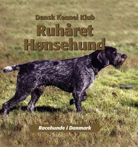 Ruhåret Hønsehund af Dansk Kennelklub