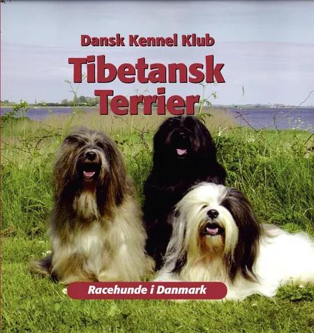 Tibetansk terrier af Dansk Kennelklub