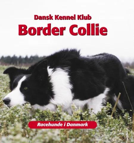 Border Collie af Dansk Kennelklub