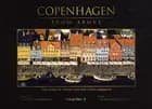 Copenhagen from above
