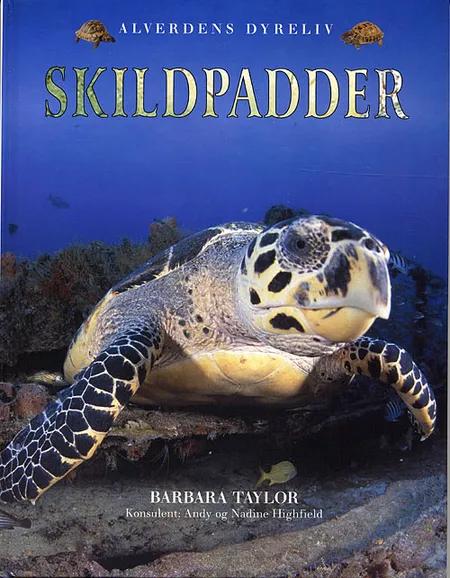 Skildpadder af Barbara Taylor