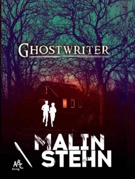 Ghostwriter af Malin Stehn