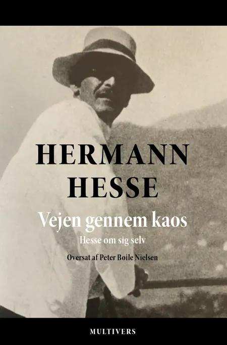 Vejen gennem kaos af Hermann Hesse