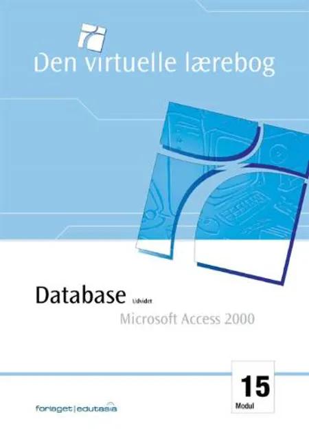 Udvidet database, MS Access 2000 af Lone Riemer