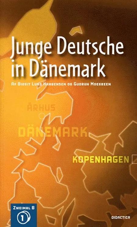 Junge Deutsche in Dänemark af Birgit Lund Haagensen