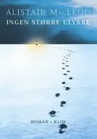 Ingen større ulykke