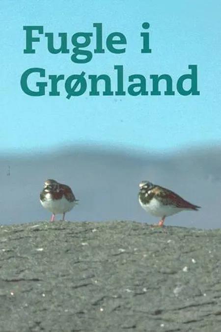 Fugle i Grønland af David Boertmann