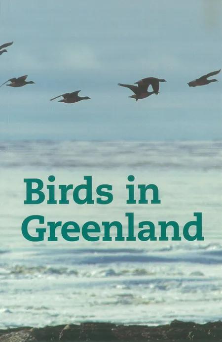 Birds in Greenland af David Boertmann