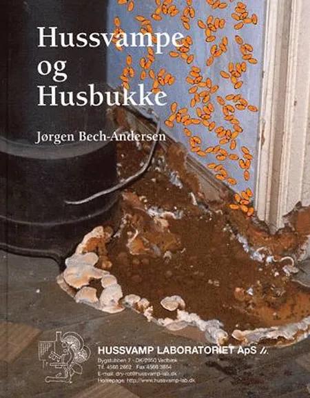 Hussvampe og husbukke af J. Bech-Andersen