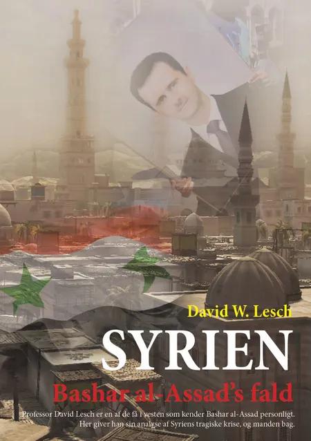 Syrien - Bashar al-Assads fald af David Lesch