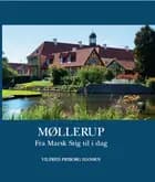 Møllerup af Vilfred Friborg Hansen