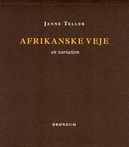 Afrikanske veje af Janne Teller