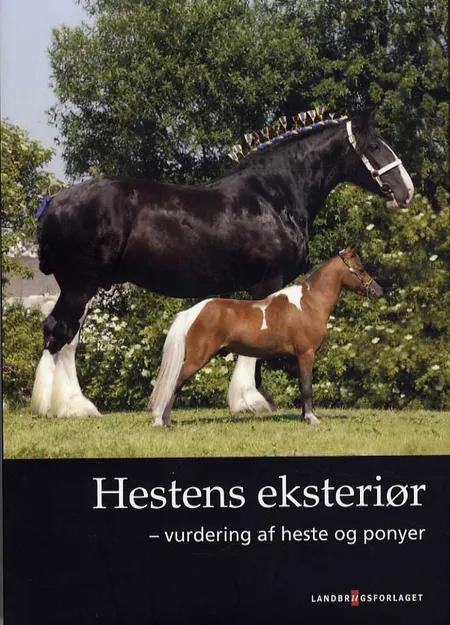 Hestens eksteriør af Jørgen Finderup