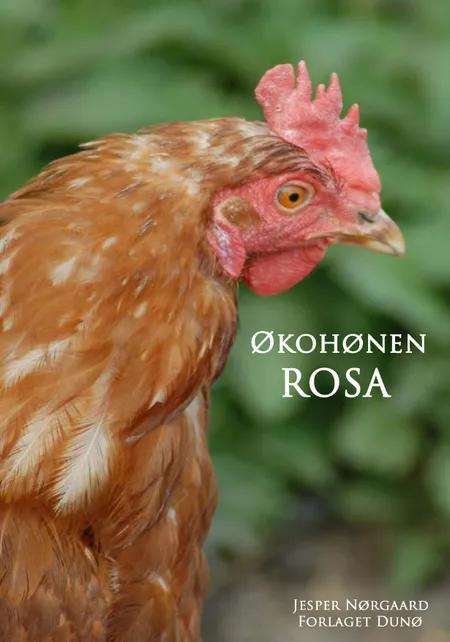 Øko-hønen Rosa af Jesper Nørgaard