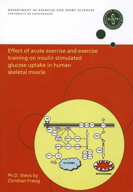 Effect of acute exercise and exercise training on insulin stimulated glucose uptake in human skeletal muscle af Christian Frøsig