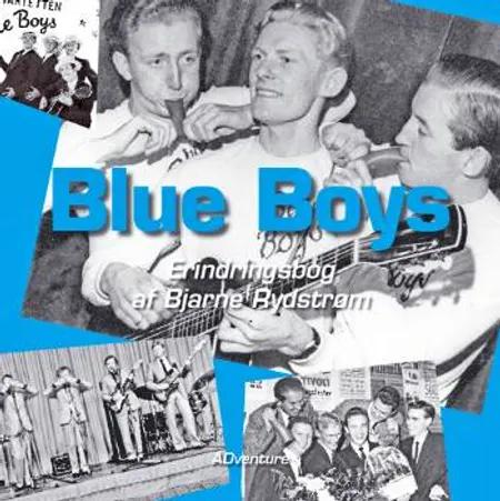 Blue boys af Bjarne Rydstrøm
