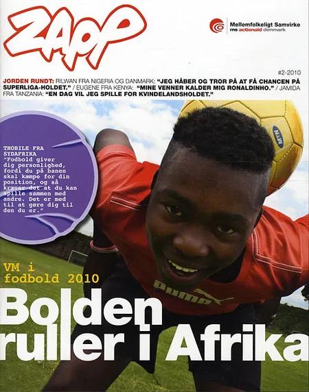 VM i fodbold 2010 af Flere forfattere