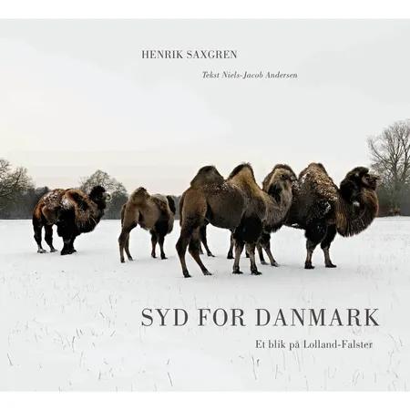 Syd for Danmark af Henrik Saxgren