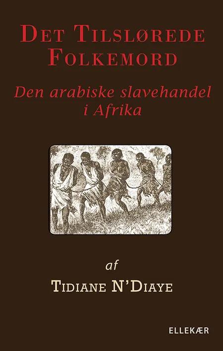Det tilslørede folkemord af Tidiane N'Diaye