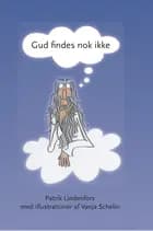 Gud findes nok ikke