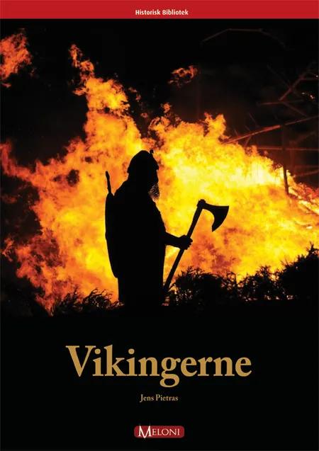 Vikingerne af Jens Pietras