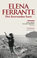 Det forsvundne barn