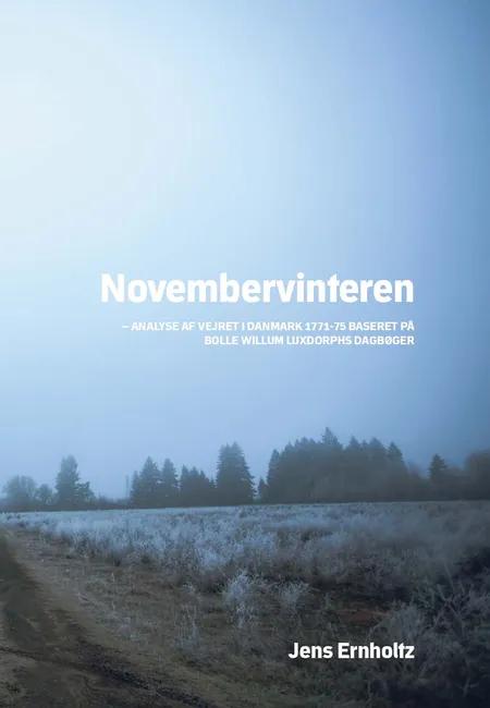 Novembervinteren af Jens Ernholtz