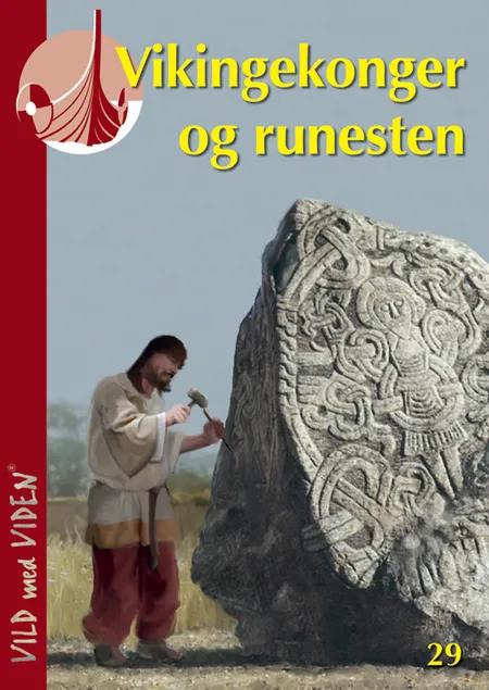 Vikingekonger og runesten af Hans Ole Matthiesen