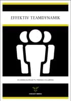 Effektiv teamdynamik af Lars Stig Duehart