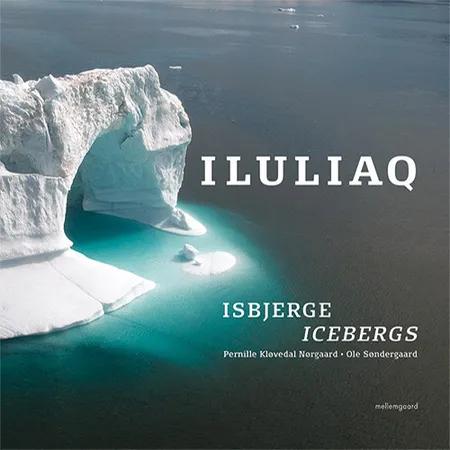 Iluliaq af Ole Søndergaard