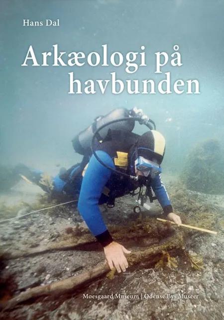 Arkæologi på havbunden af Hans Dal