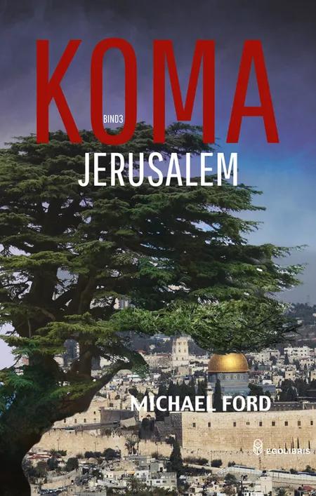 Jerusalem af Michael Ford