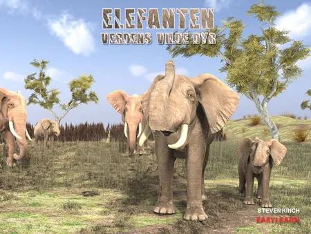 Elefanten af Steven Kinch
