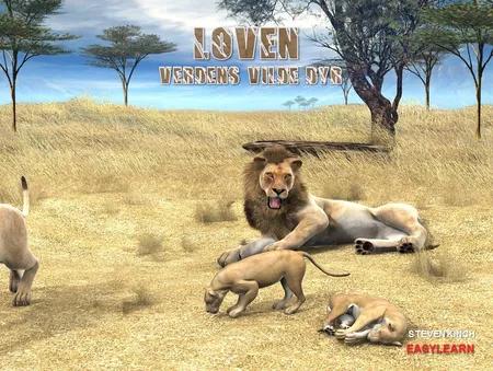 Løven af Steven Kinch