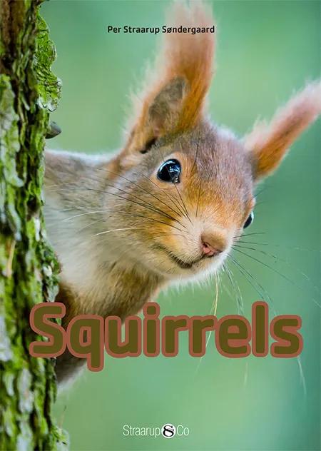 Squirrels af Per Straarup Søndergaard