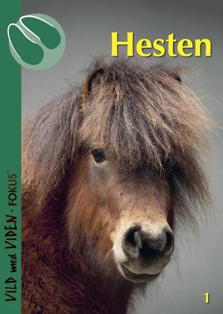 Hesten af Pernille Sandø