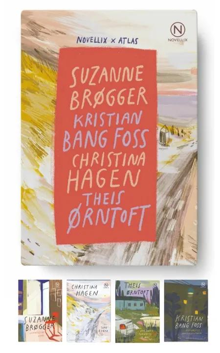 Gaveæske med fire essays af Brøgger, Bang Foss, Hagen & Ørntoft af Suzanne Brøgger