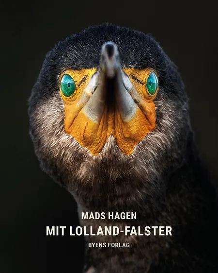 Mit Lolland-Falster af Mads Hagen