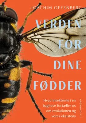 Verden for dine fødder af Joachim Offenberg
