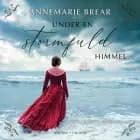 Under en stormfuld himmel